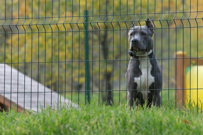 Pet Fence Assembly